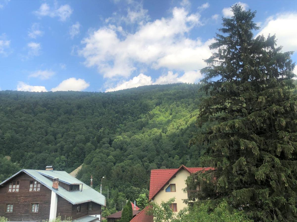 Holiday Home In Sinaia Dış mekan fotoğraf