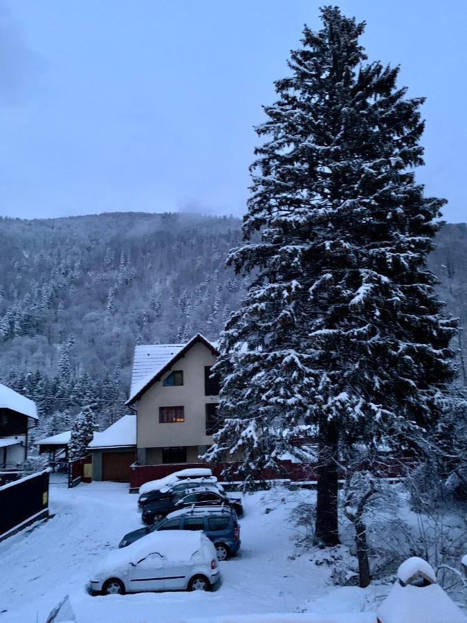 Holiday Home In Sinaia Dış mekan fotoğraf