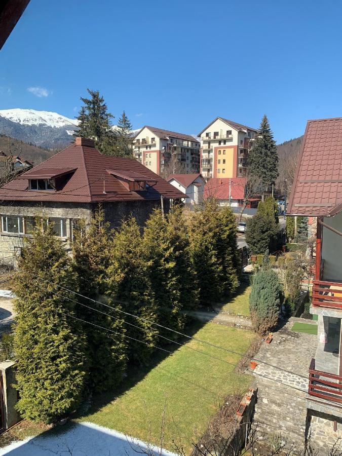 Holiday Home In Sinaia Dış mekan fotoğraf