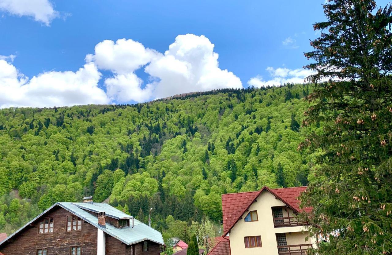Holiday Home In Sinaia Dış mekan fotoğraf