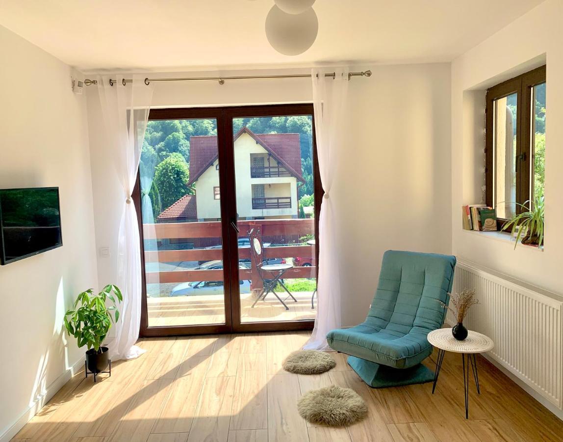 Holiday Home In Sinaia Dış mekan fotoğraf